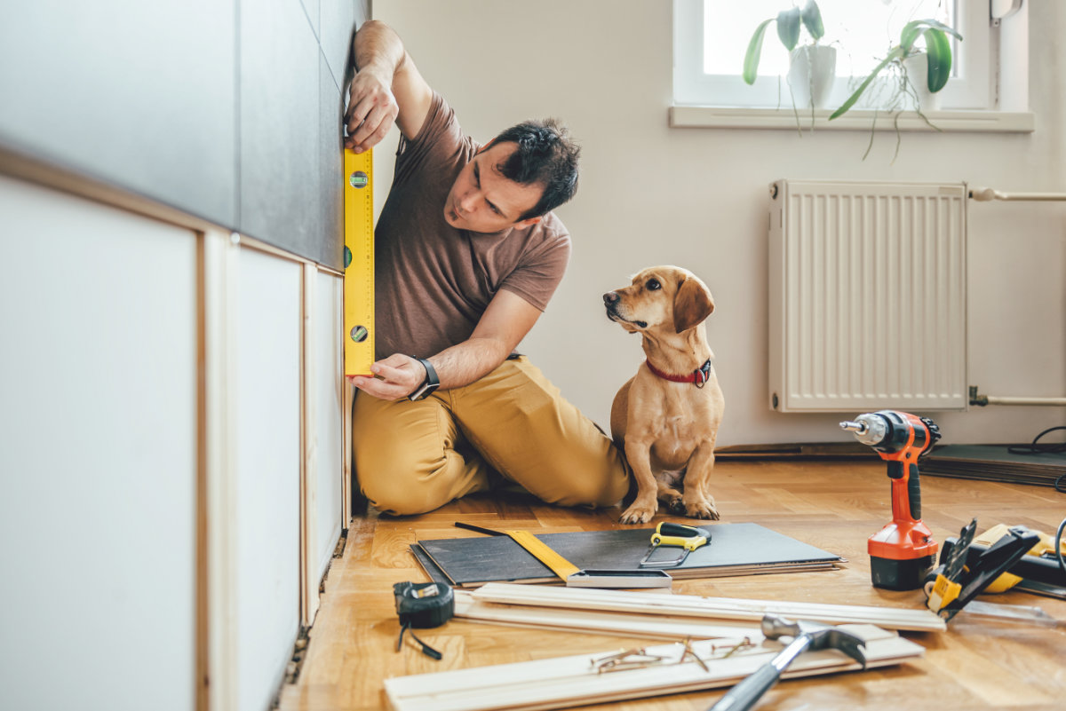 Un homme avec une règle de chantier sur un mur, son chien le regarde